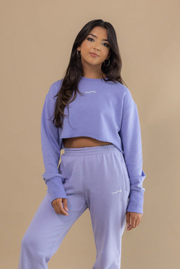 Soft Lilac Sweatshirt